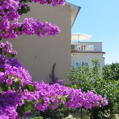 Apartment Mihalic *